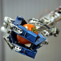 Robots That Work